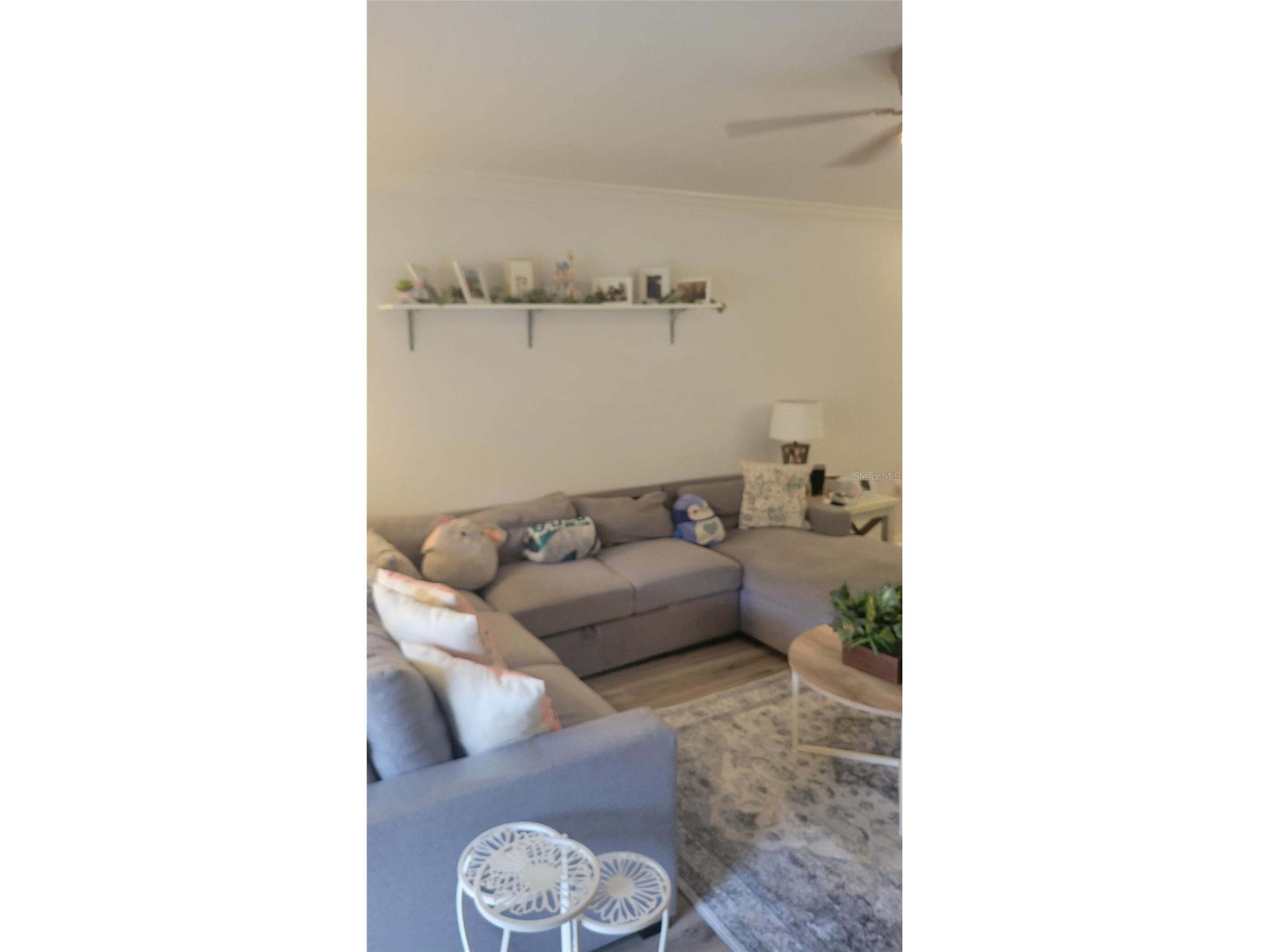 6255 Timberly Lane Zephyrhills FL 33542 O6395135 image10