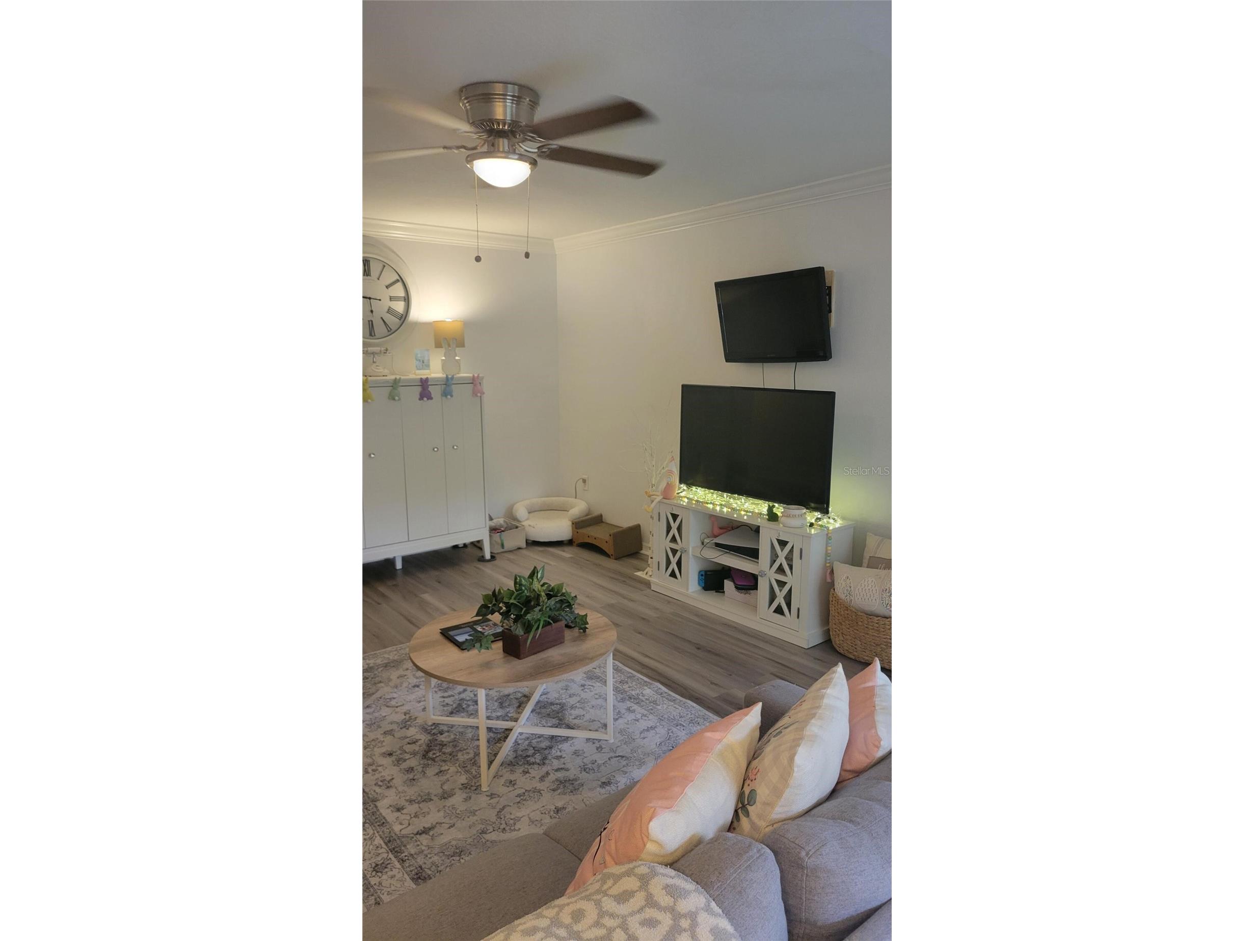 6255 Timberly Lane Zephyrhills FL 33542 O6395135 image12