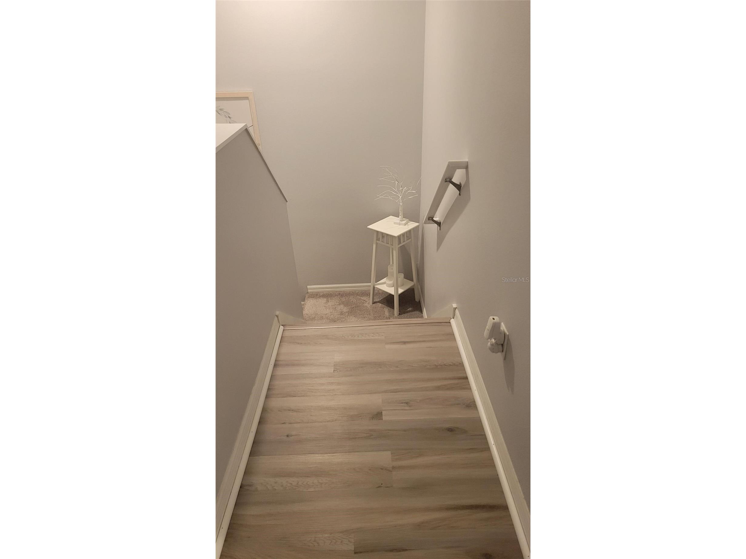 6255 Timberly Lane Zephyrhills FL 33542 O6395135 image16