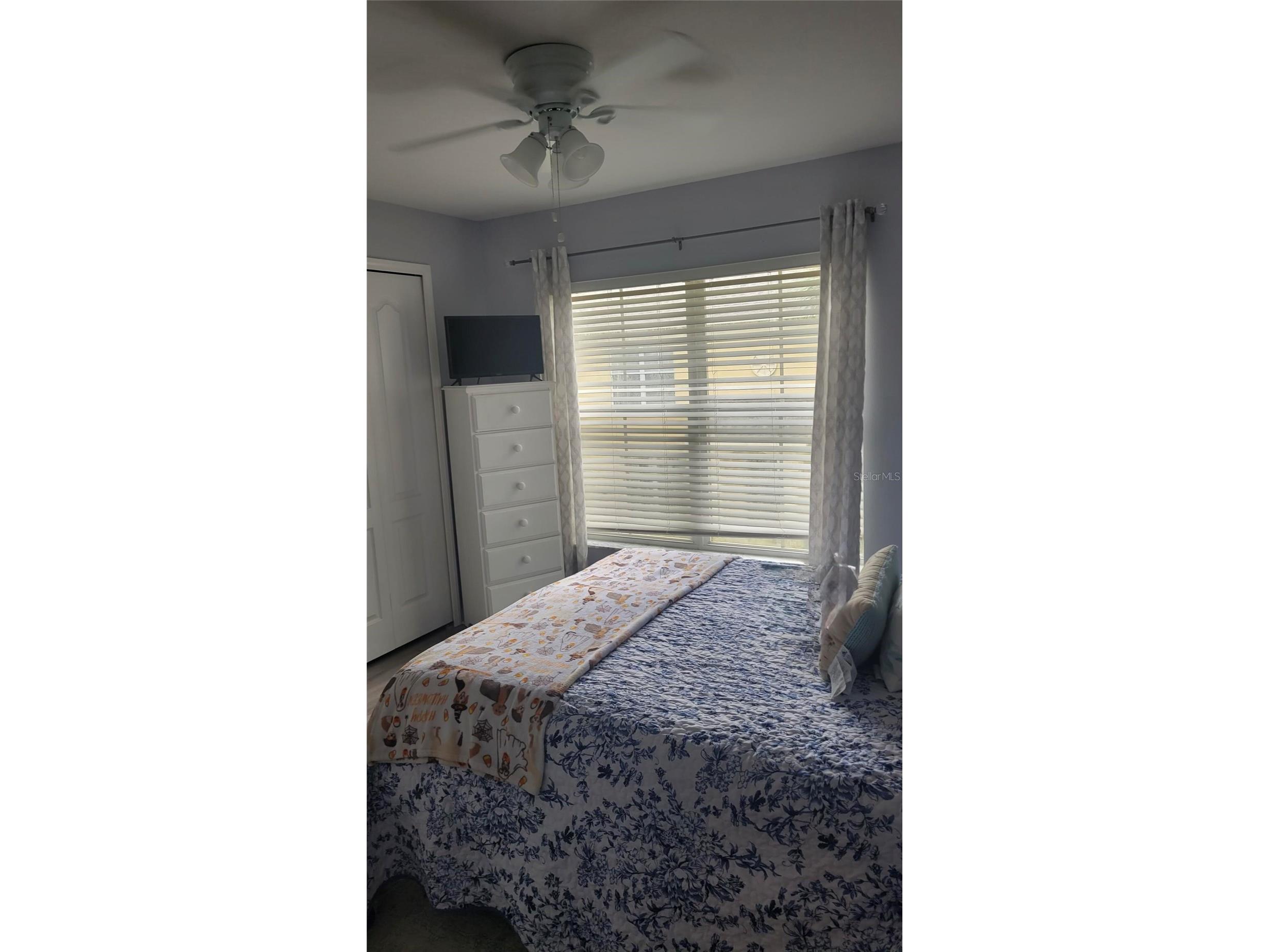 6255 Timberly Lane Zephyrhills FL 33542 O6395135 image22