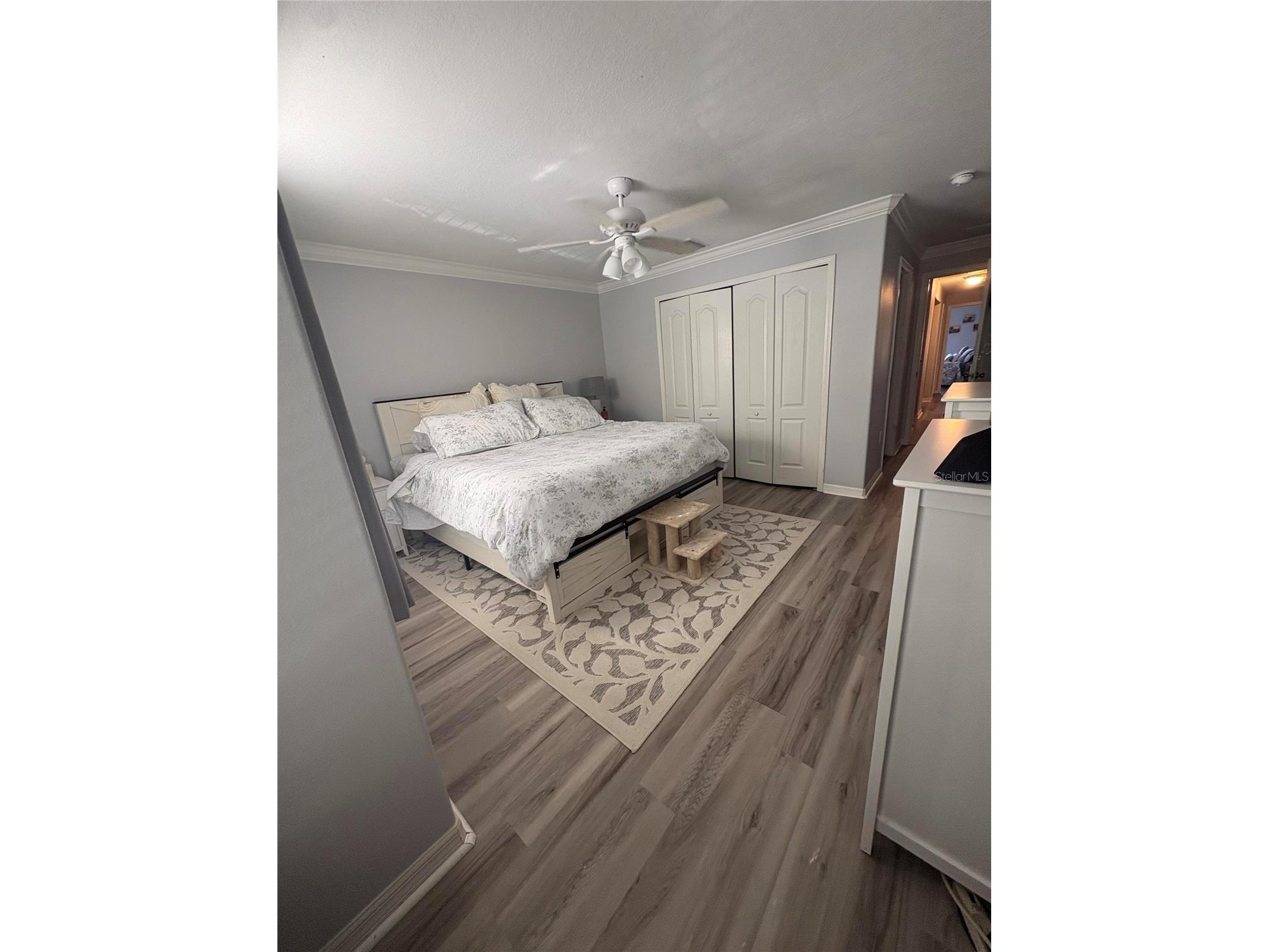 6255 Timberly Lane Zephyrhills FL 33542 O6395135 image26