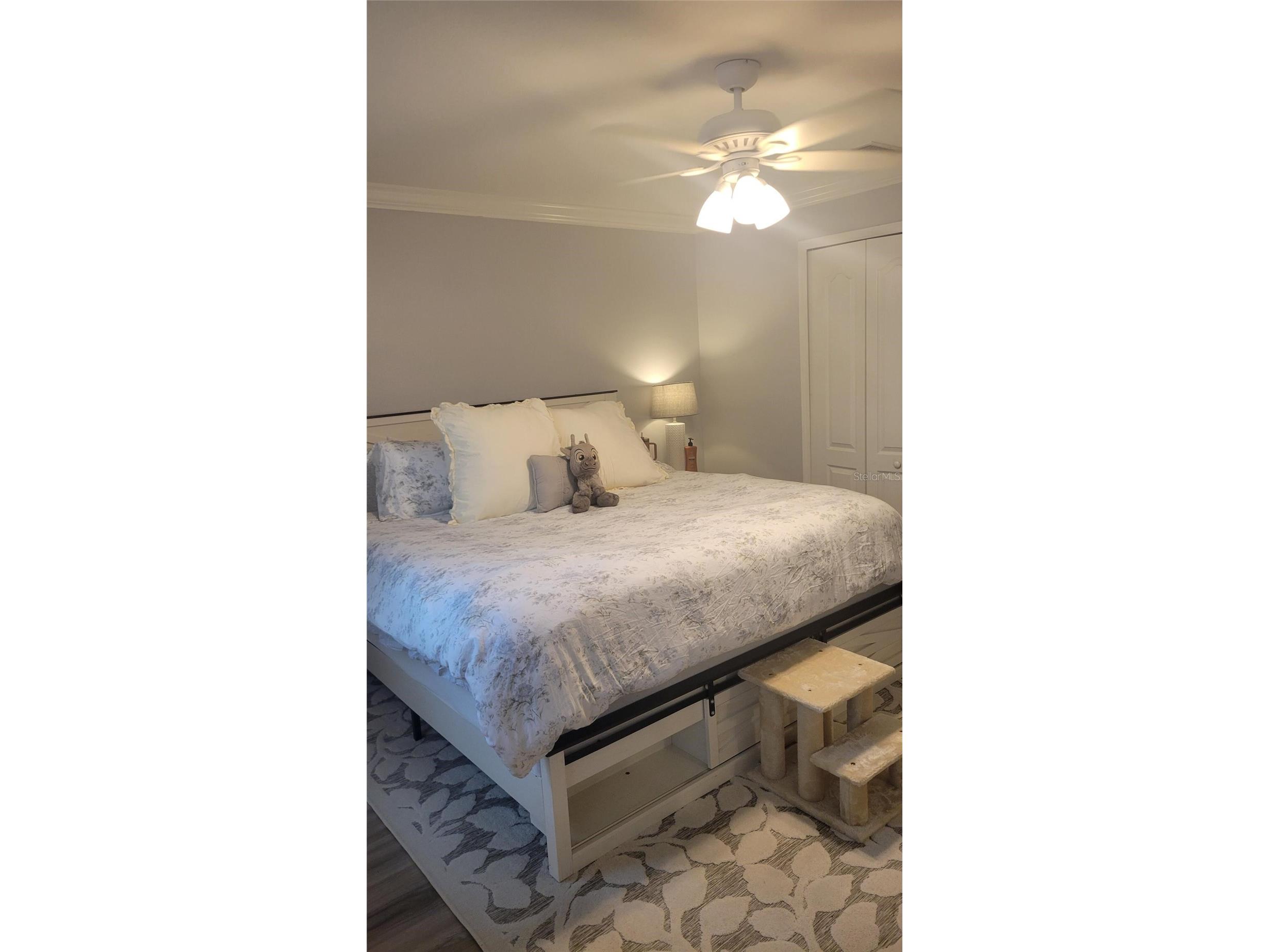 6255 Timberly Lane Zephyrhills FL 33542 O6395135 image27