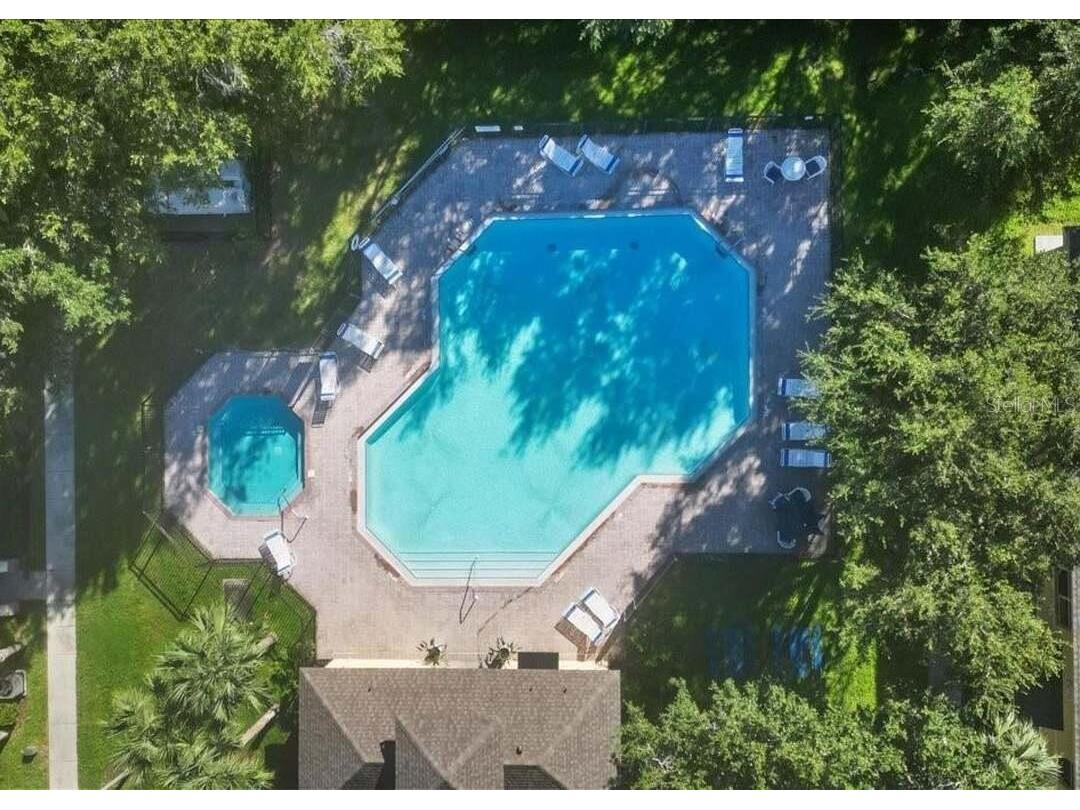 6255 Timberly Lane Zephyrhills FL 33542 O6395135 image35