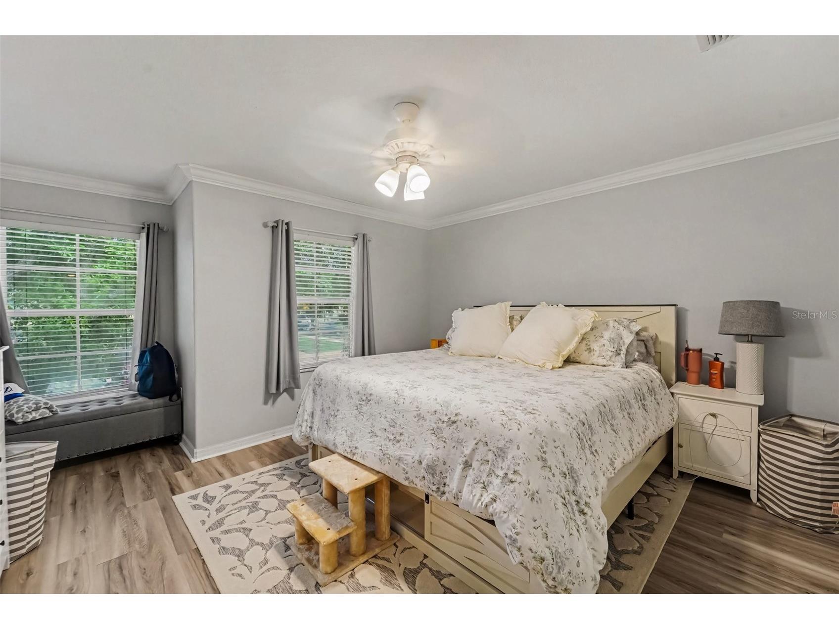6255 Timberly Ln Zephyrhills FL 33542 TB8531475 image3