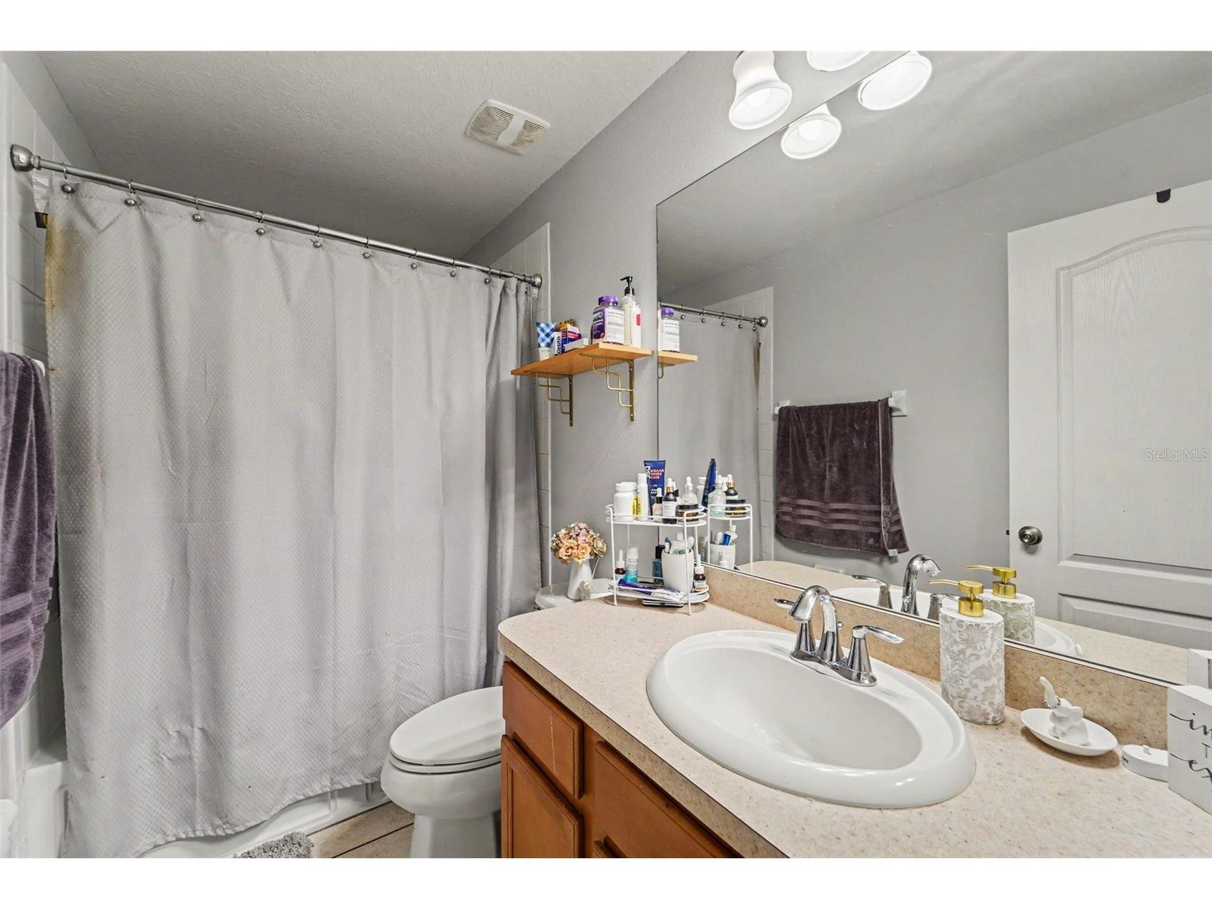 6255 Timberly Ln Zephyrhills FL 33542 TB8531475 image6