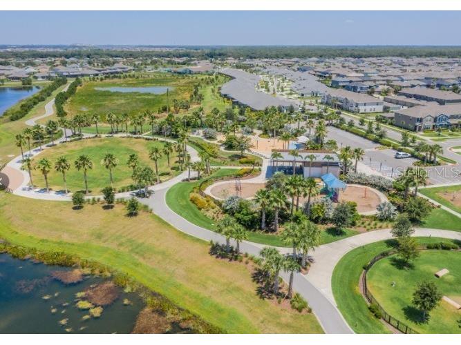6256 Camino Drive Apollo Beach FL 33572 TB8524742 image62