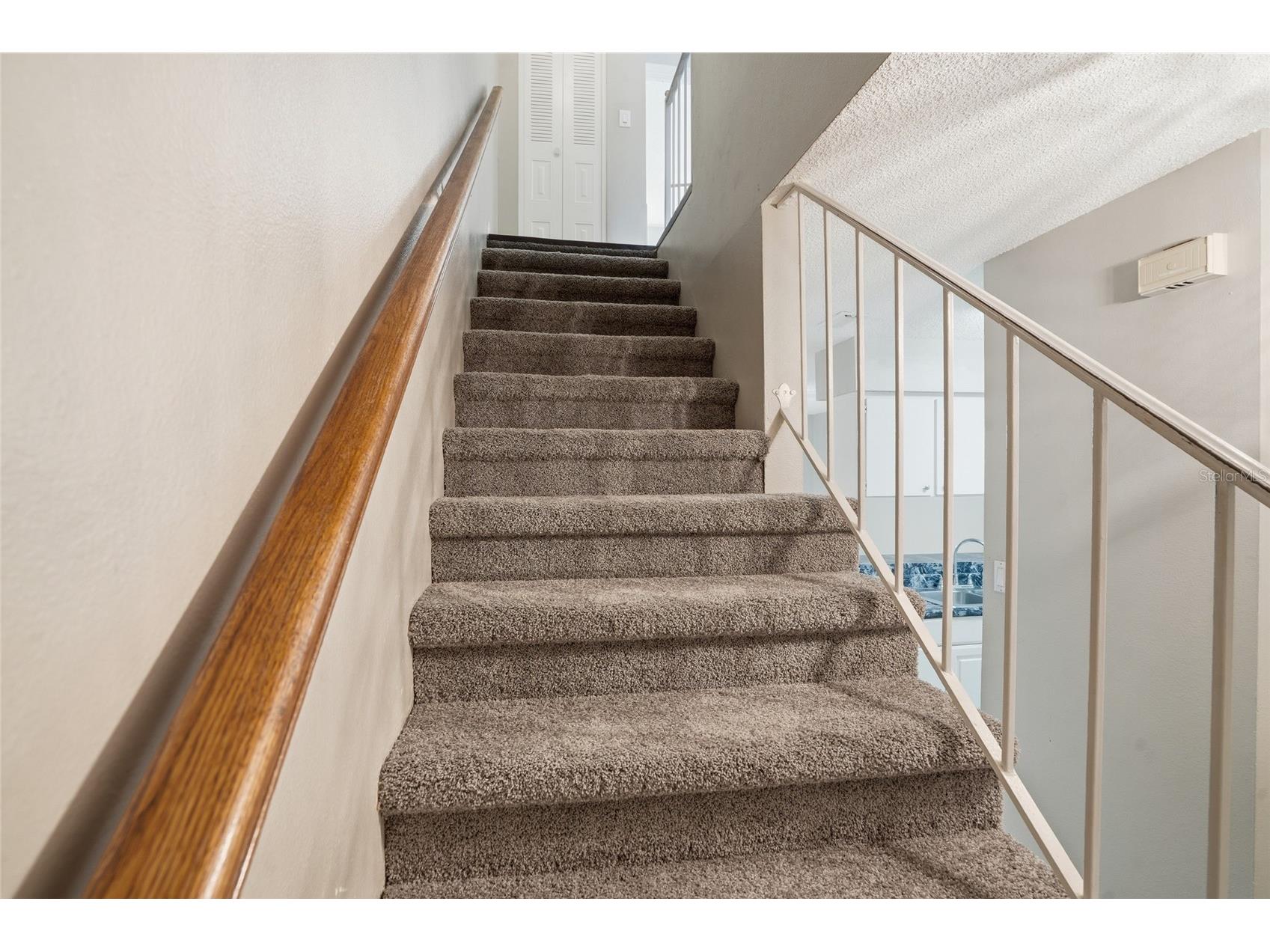 6258 Oak Cluster Cir Tampa FL 33634 TB8498633 image12