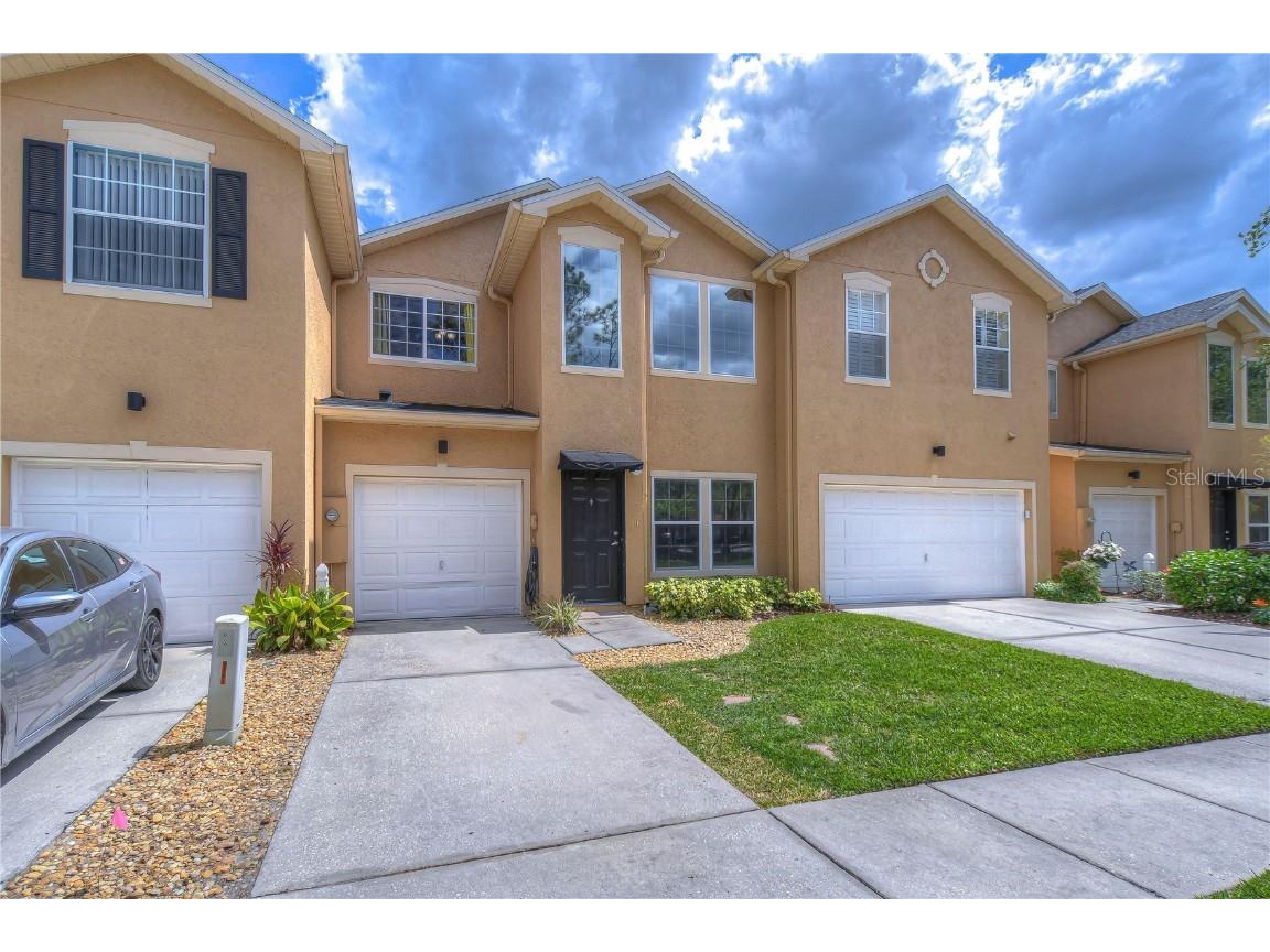 6259 Ashbury Palms Drive Tampa FL 33647 T3442244 image1