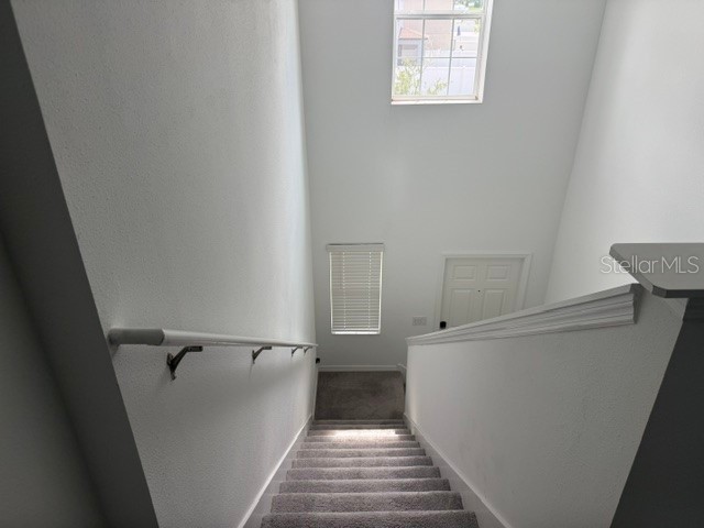 6259 Back Forty Loop Zephyrhills FL 33541 TB8507600 image12