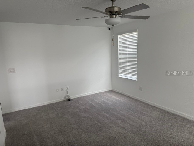 6259 Back Forty Loop Zephyrhills FL 33541 TB8507600 image14