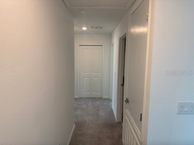 6259 Back Forty Loop Zephyrhills FL 33541 TB8507600 image15