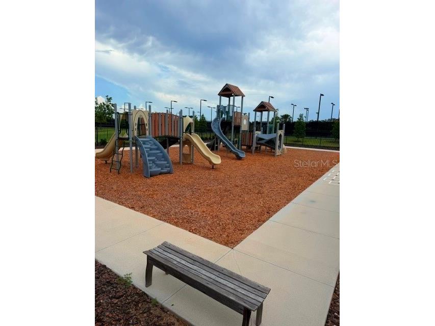 6259 Back Forty Loop Zephyrhills FL 33541 TB8507600 image20