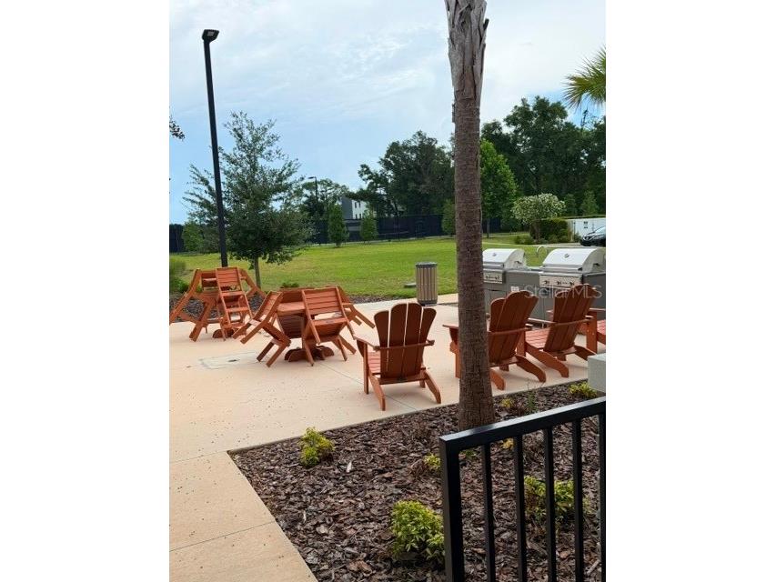 6259 Back Forty Loop Zephyrhills FL 33541 TB8507600 image22