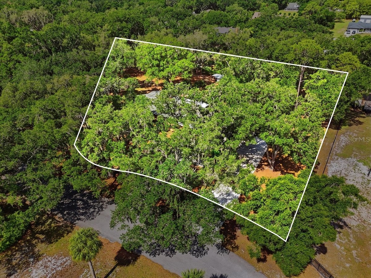 6259 Nelms Road W Lakeland FL 33811 L4962138 image37
