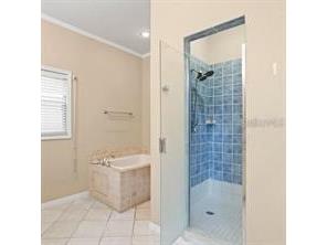 626 7th Avenue N Tierra Verde FL 33715 TB8446104 image21