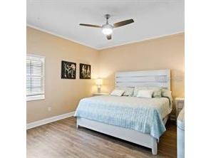 626 7th Avenue N Tierra Verde FL 33715 TB8446104 image29