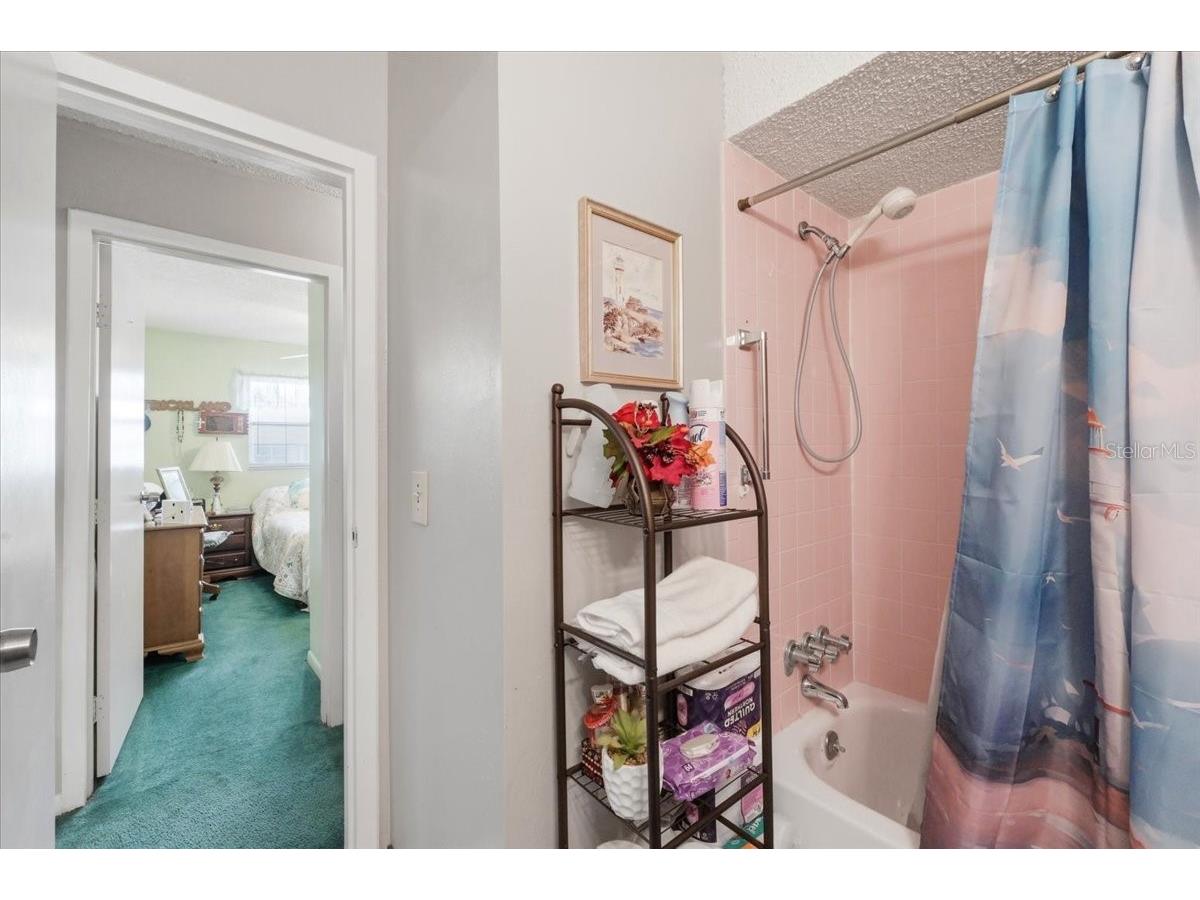 626 Cortez Street Lakeland FL 33813 L4962825 image24