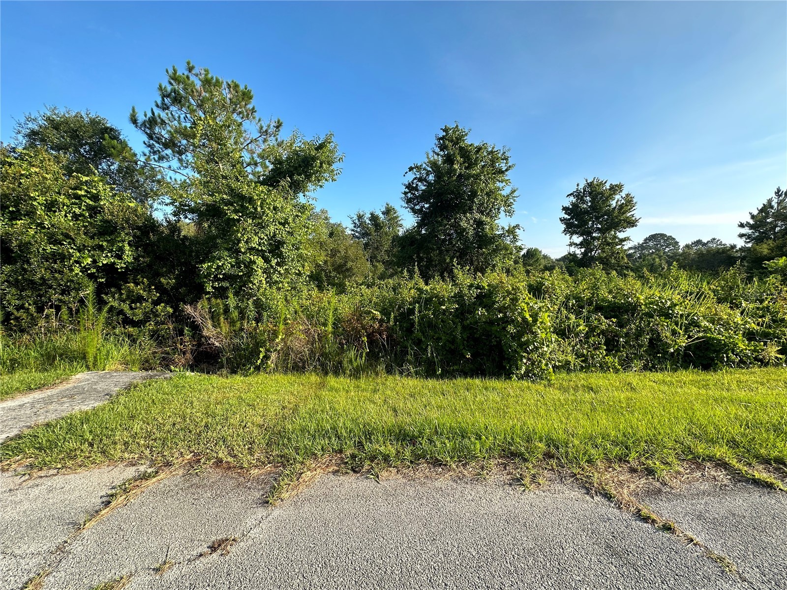 626 Mediterranean Court Poinciana FL 34759 O6396145 image1