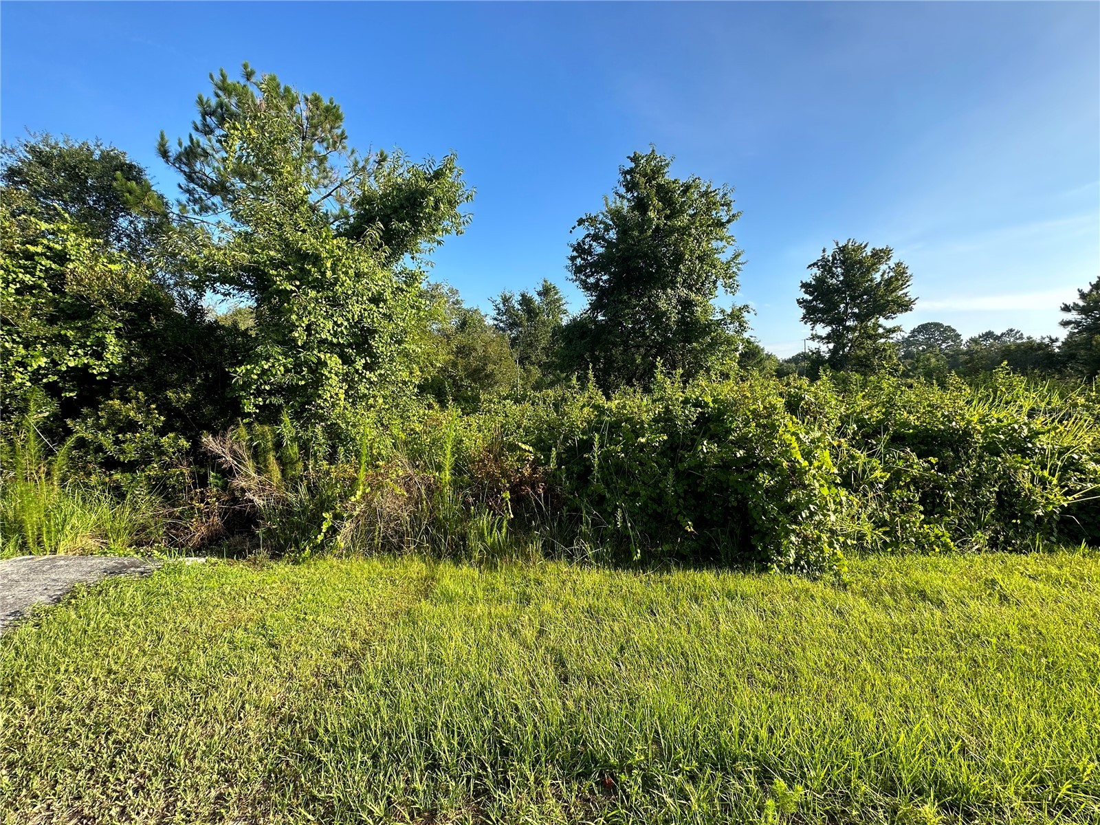 626 Mediterranean Court Poinciana FL 34759 O6396145 image3