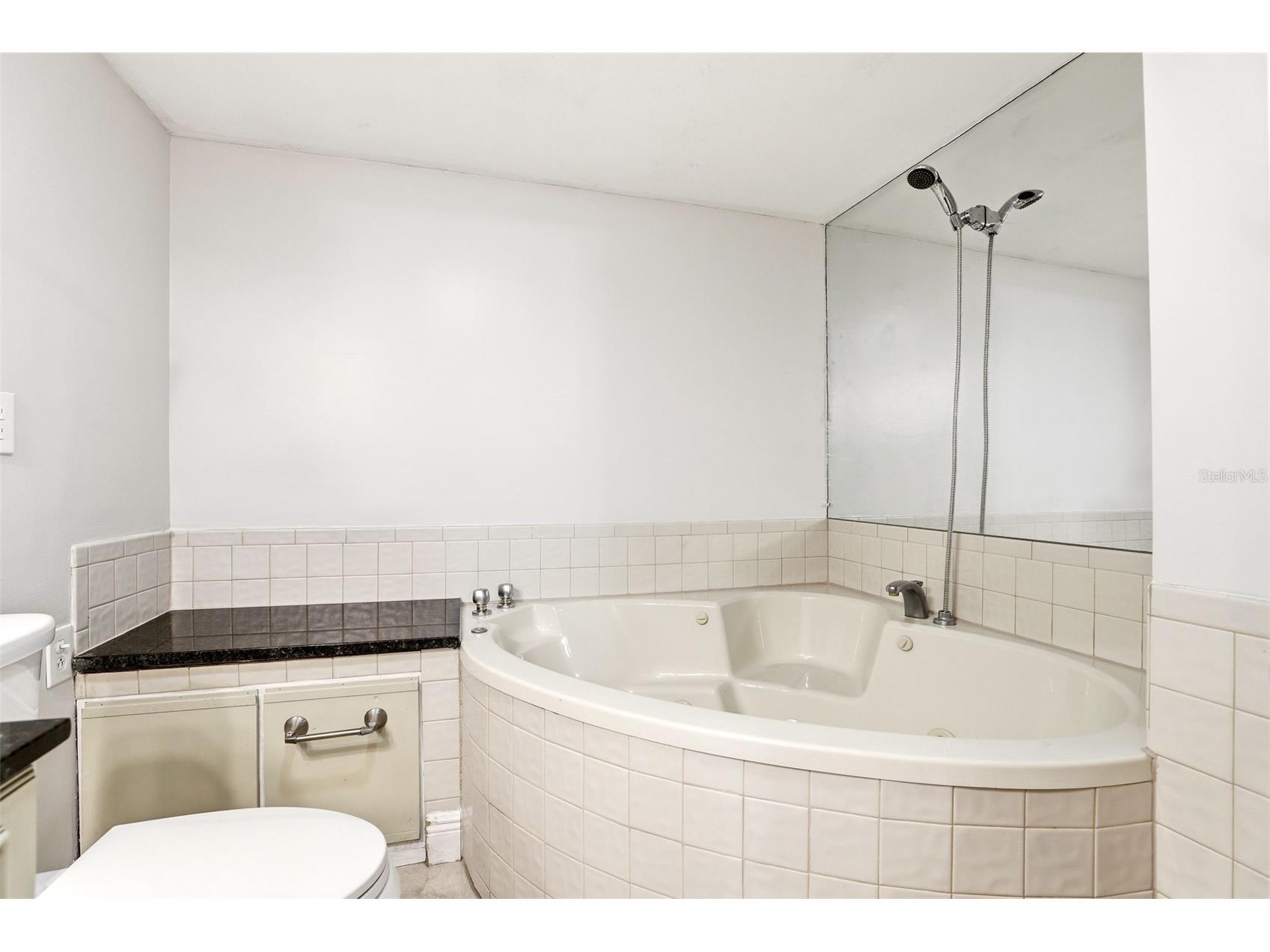 626 Orange Drive #243 Altamonte Springs FL 32701 - LAKE ORIENTA O6394508 image20