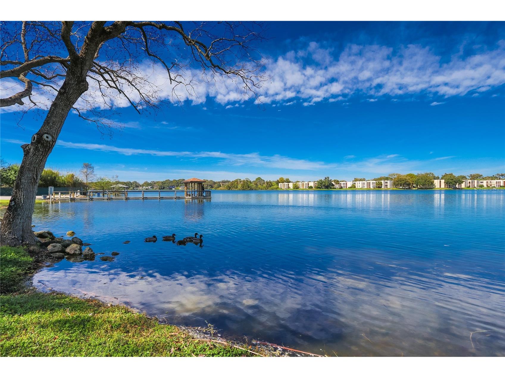 626 Red Oak Circle #106 Altamonte Springs FL 32701 - LAKE ORIENTA O6408039 image60