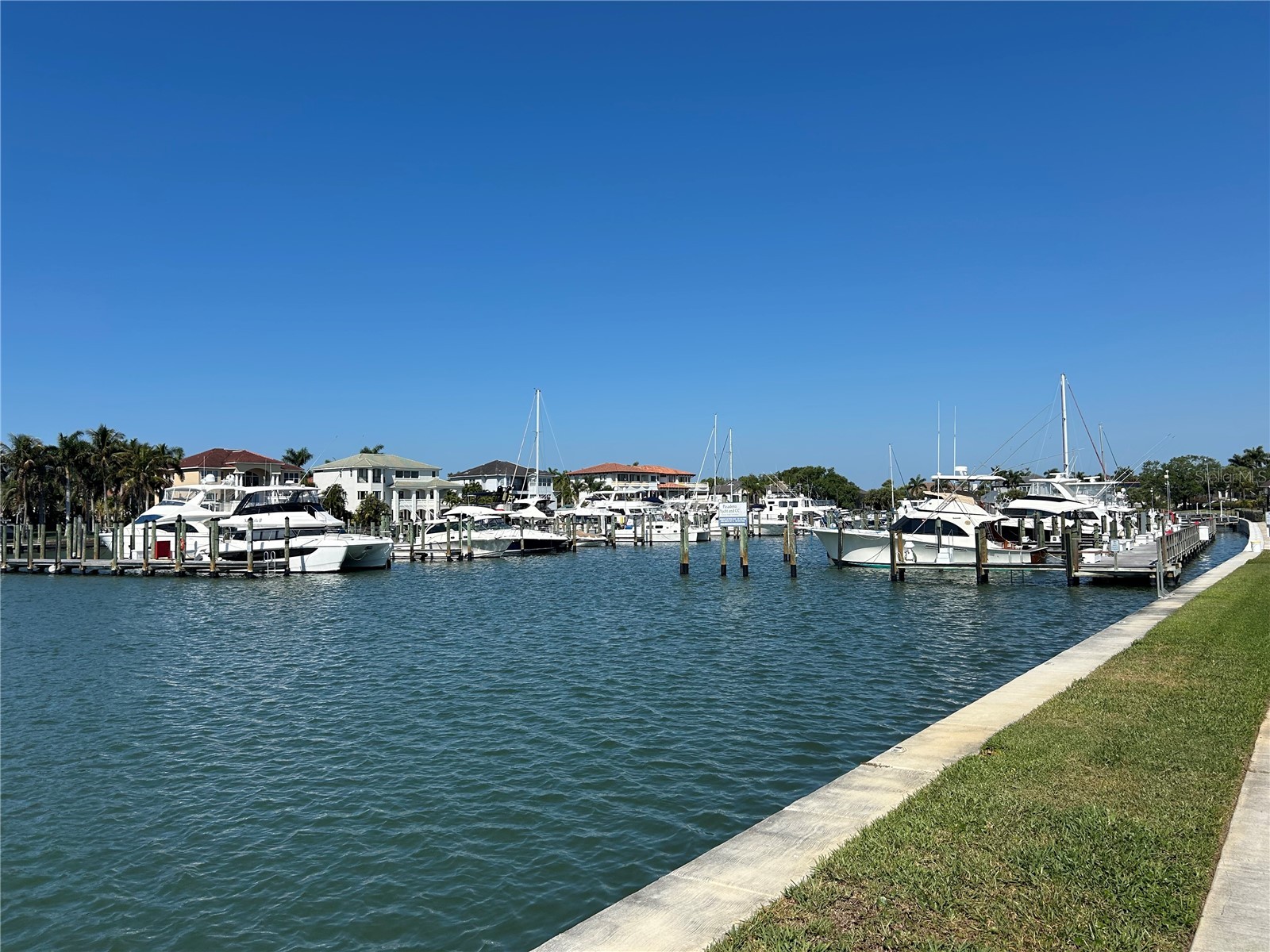 6260 Kipps Colony Court #203 Gulfport FL 33707 TB8490987 image51