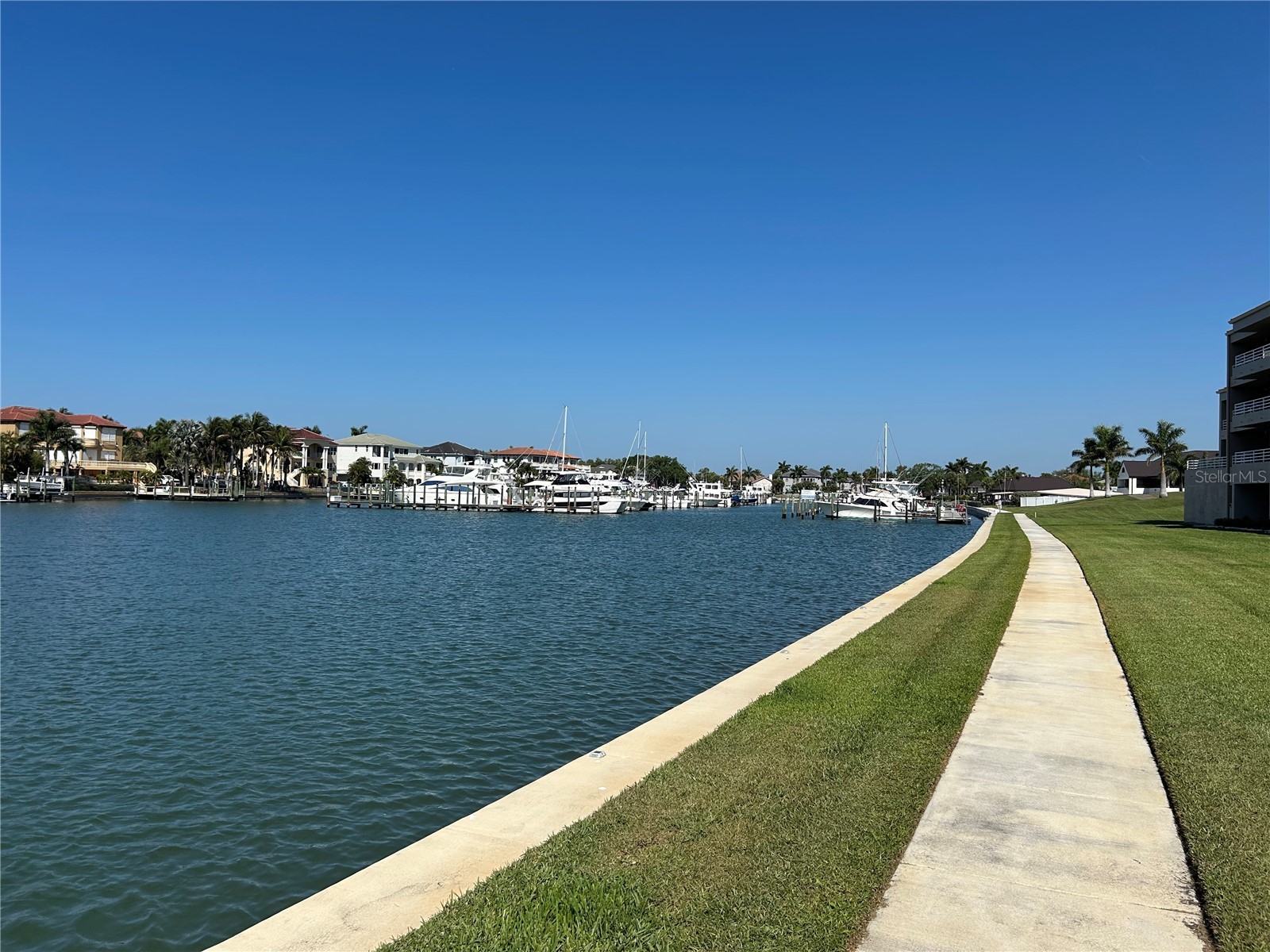 6260 Kipps Colony Court #203 Gulfport FL 33707 TB8490987 image55