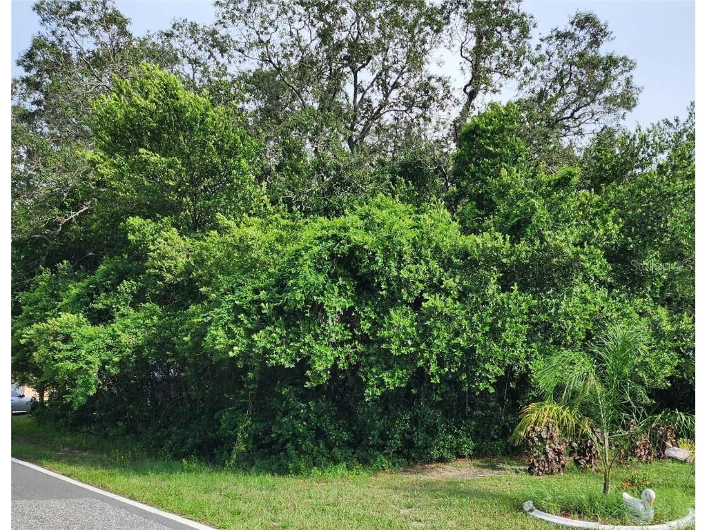 6260 Pinehurst Drive Spring Hill FL 34606 W7857699 image1