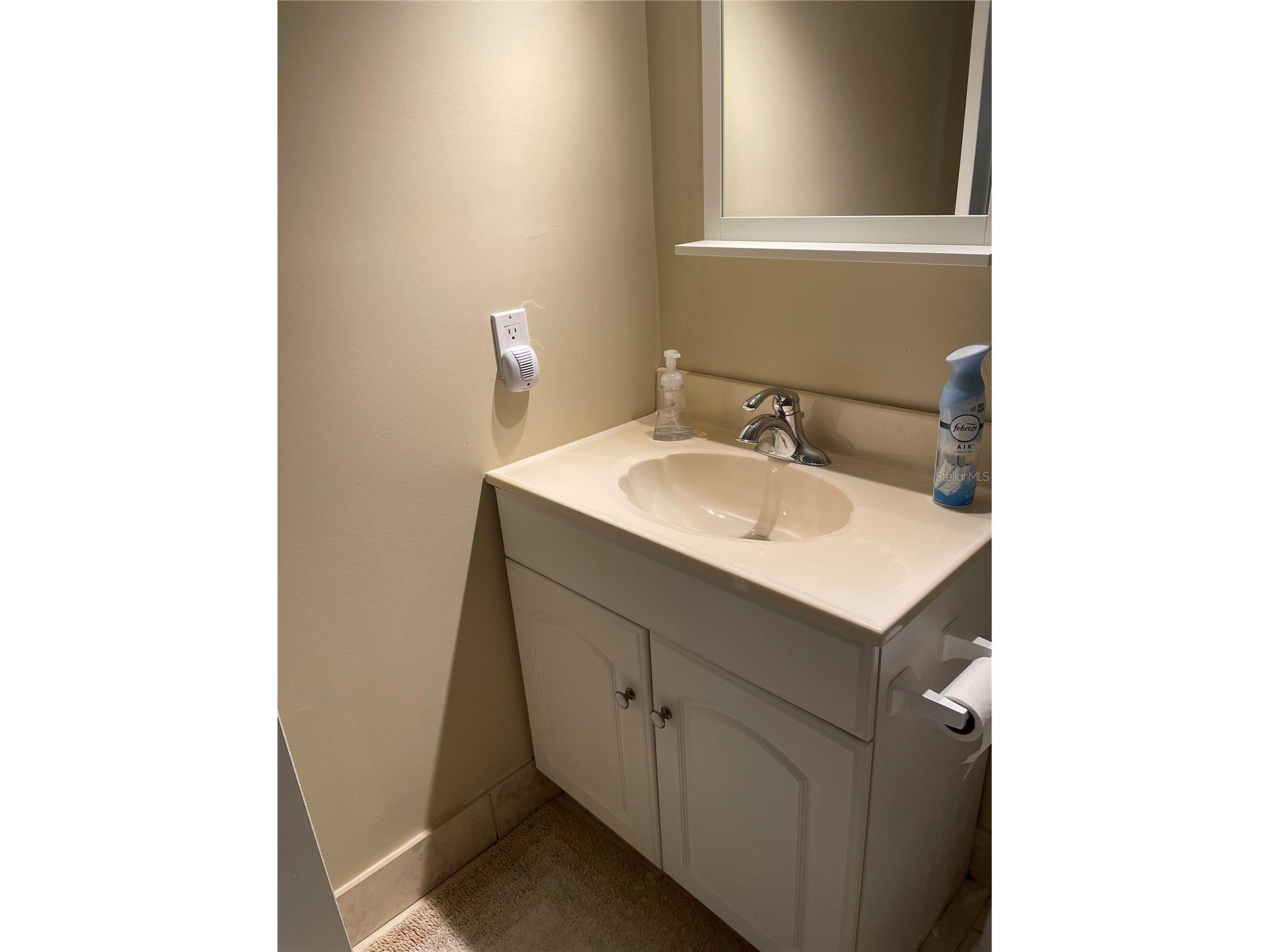 6260 Sun Boulevard #1 Saint Petersburg FL 33715 TB8473279 image28