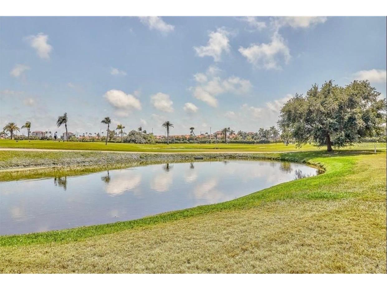 6260 Sun Boulevard #1 Saint Petersburg FL 33715 TB8473279 image59