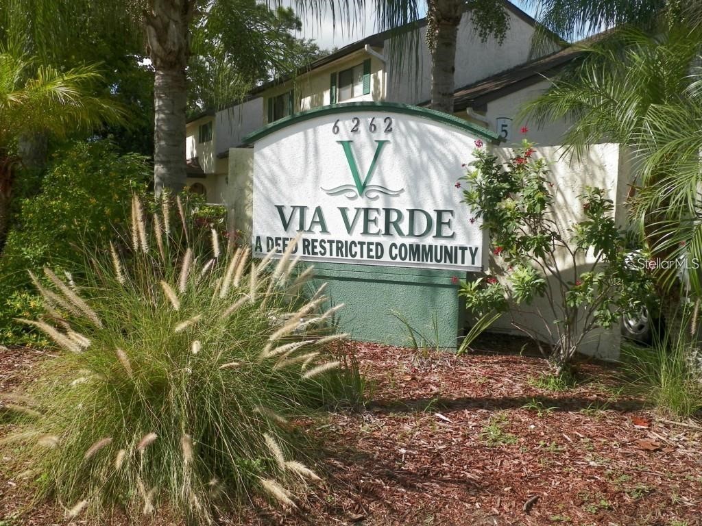 6262 142nd Avenue #1310 Clearwater FL 33760 TB8457517 image1