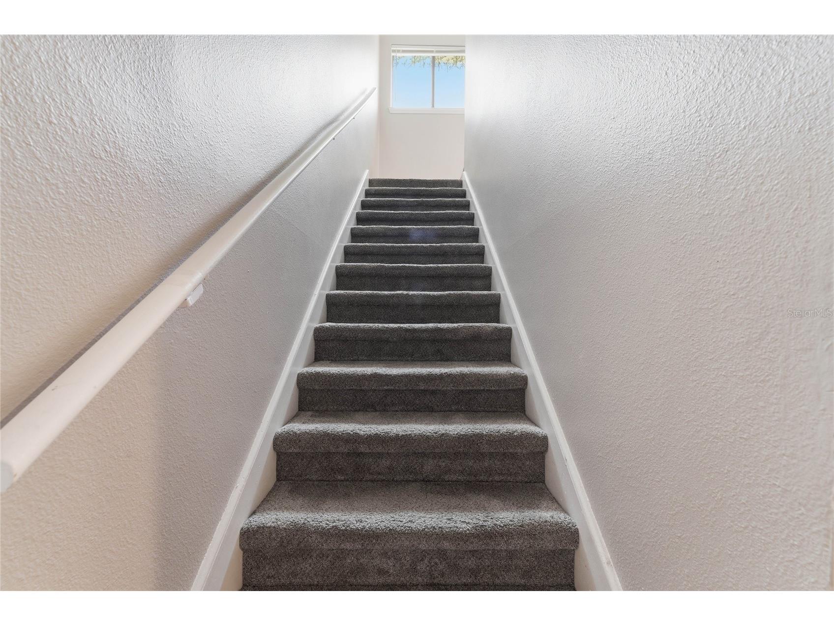 6262 142nd Avenue N #1004 Clearwater FL 33760 TB8503117 image21