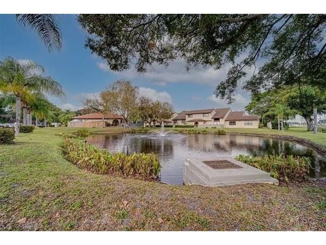 6262 142nd Avenue N #1203 Clearwater FL 33760 O6302024 image17