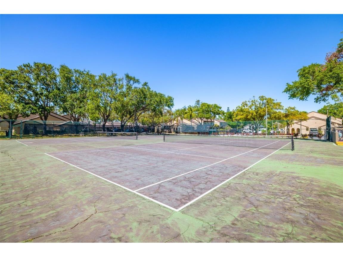 6262 142nd Avenue N #1304 Clearwater FL 33760 TB8364499 image24