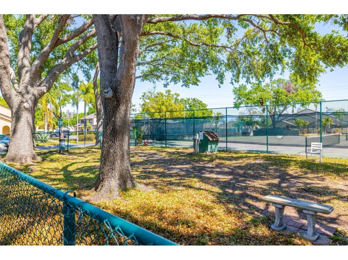 6262 142nd Avenue N #1304 Clearwater FL 33760 TB8364499 image25