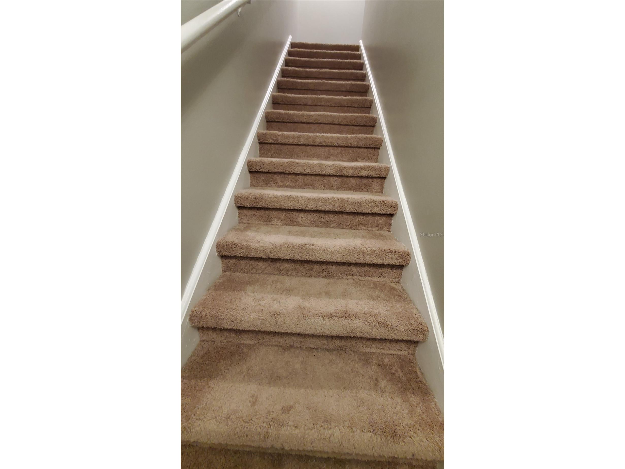 6262 142nd Avenue N #702 Clearwater FL 33760 TB8518735 image17