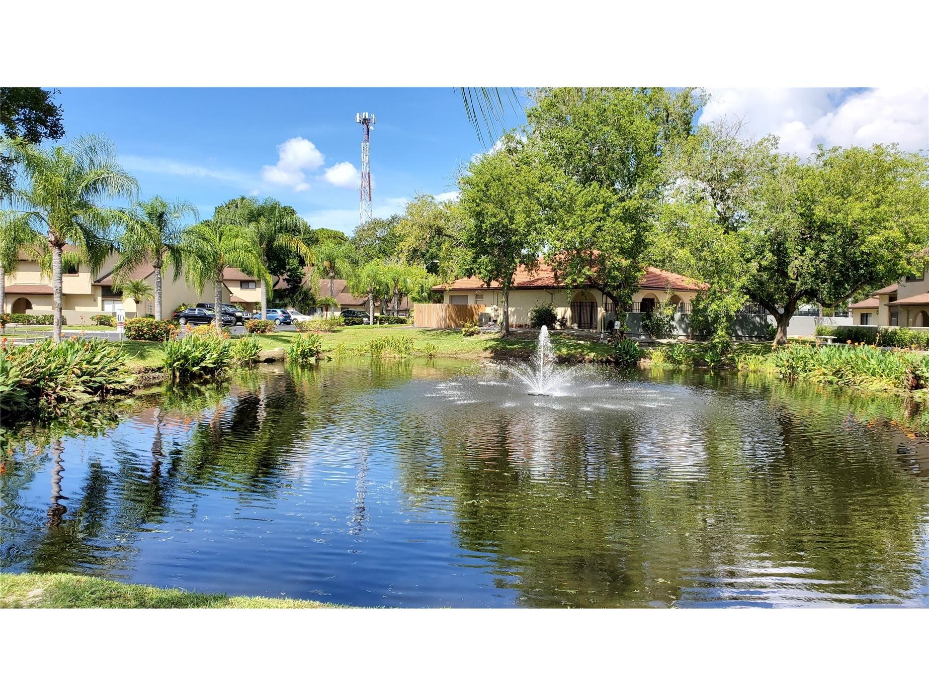 6262 142nd Avenue N #702 Clearwater FL 33760 TB8518735 image24