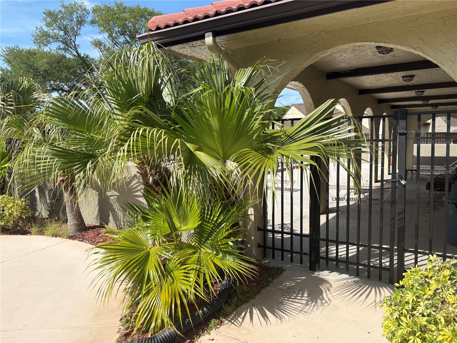 6262 142nd Avenue N #804 Clearwater FL 33760 TB8497606 image6