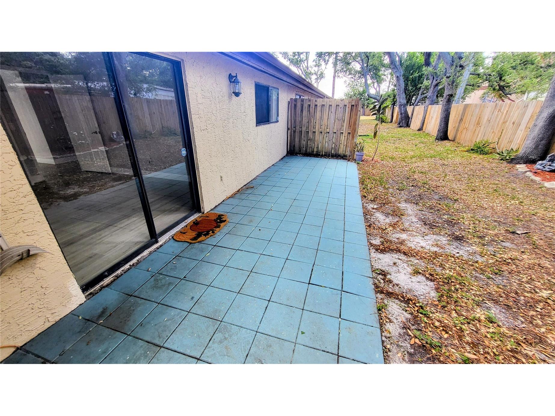 6262 142nd Avenue N #905 Clearwater FL 33760 TB8502000 image21