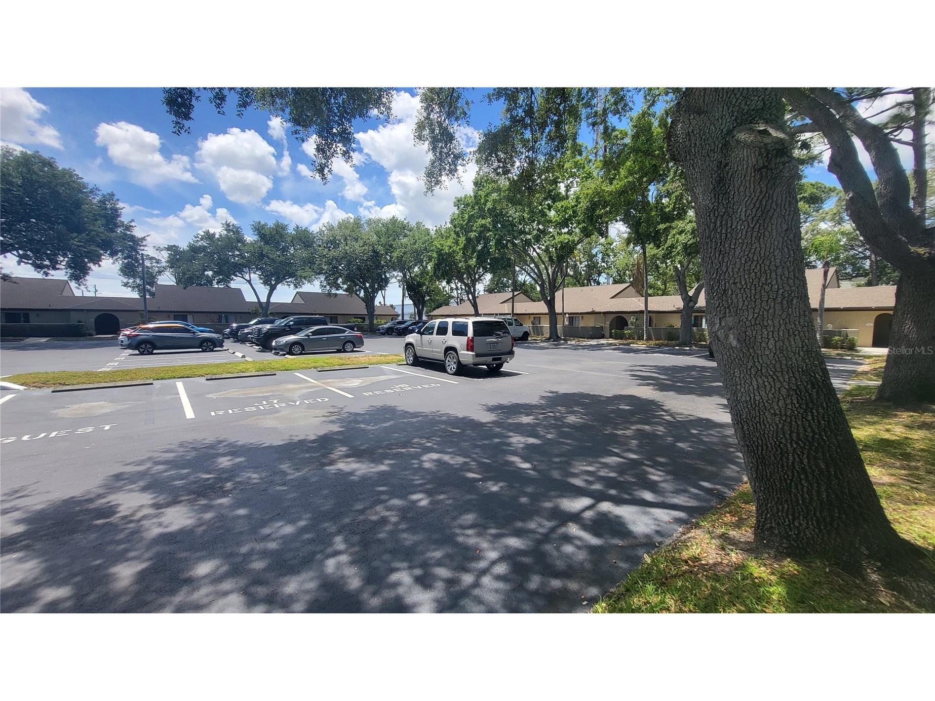 6262 142nd Avenue N #905 Clearwater FL 33760 TB8502000 image29
