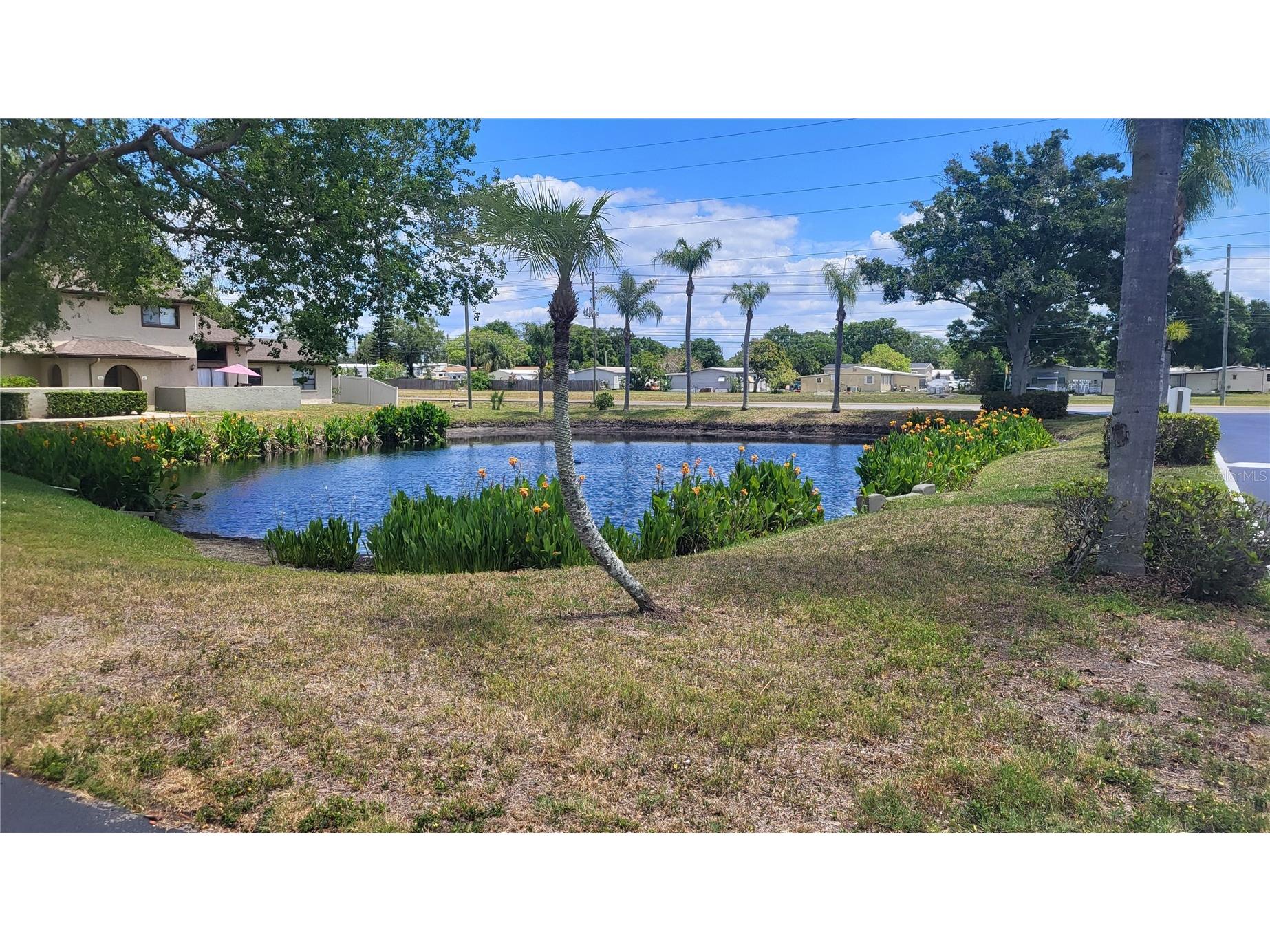 6262 142nd Avenue N #905 Clearwater FL 33760 TB8502000 image37