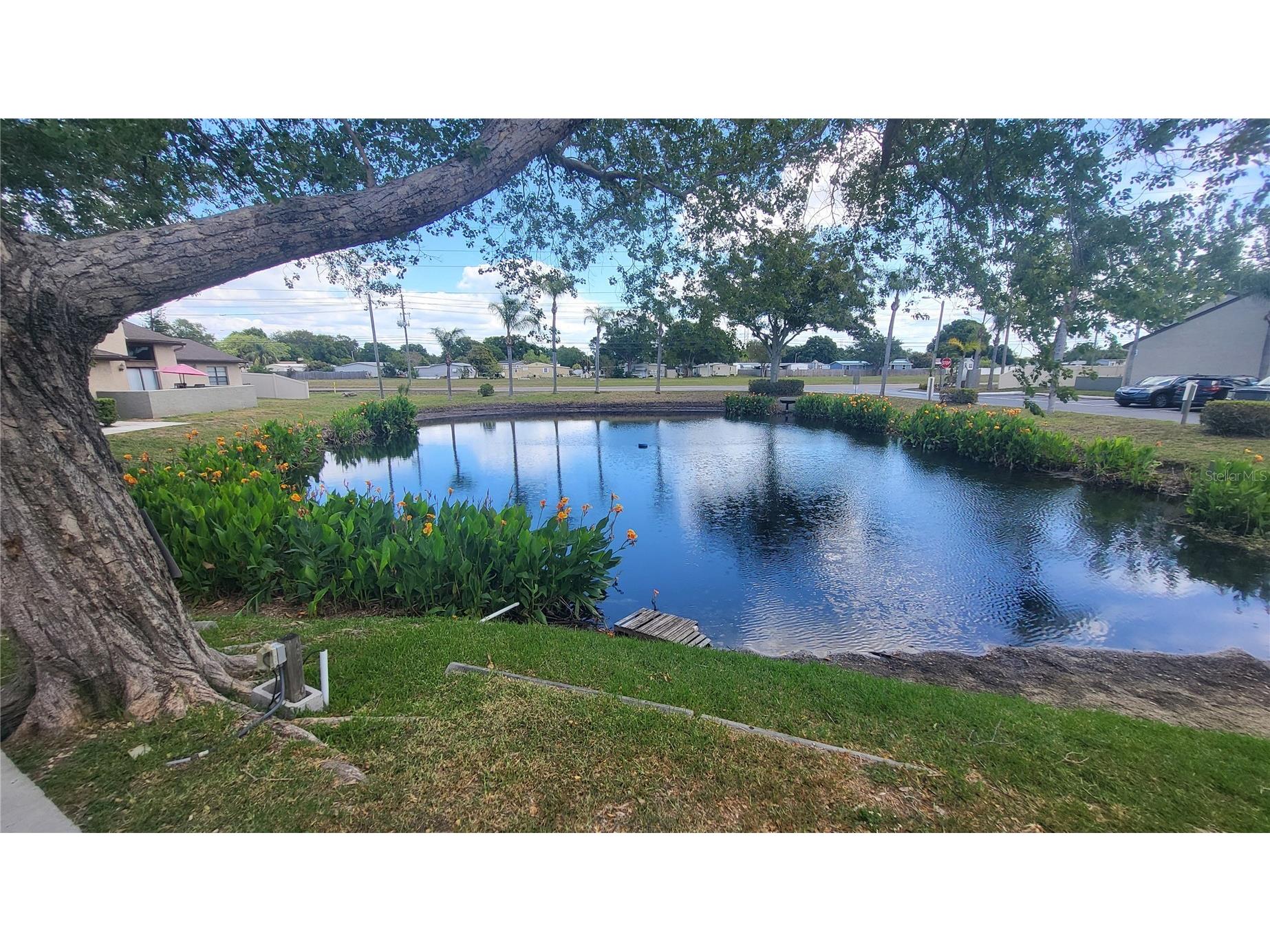 6262 142nd Avenue N #905 Clearwater FL 33760 TB8502000 image38
