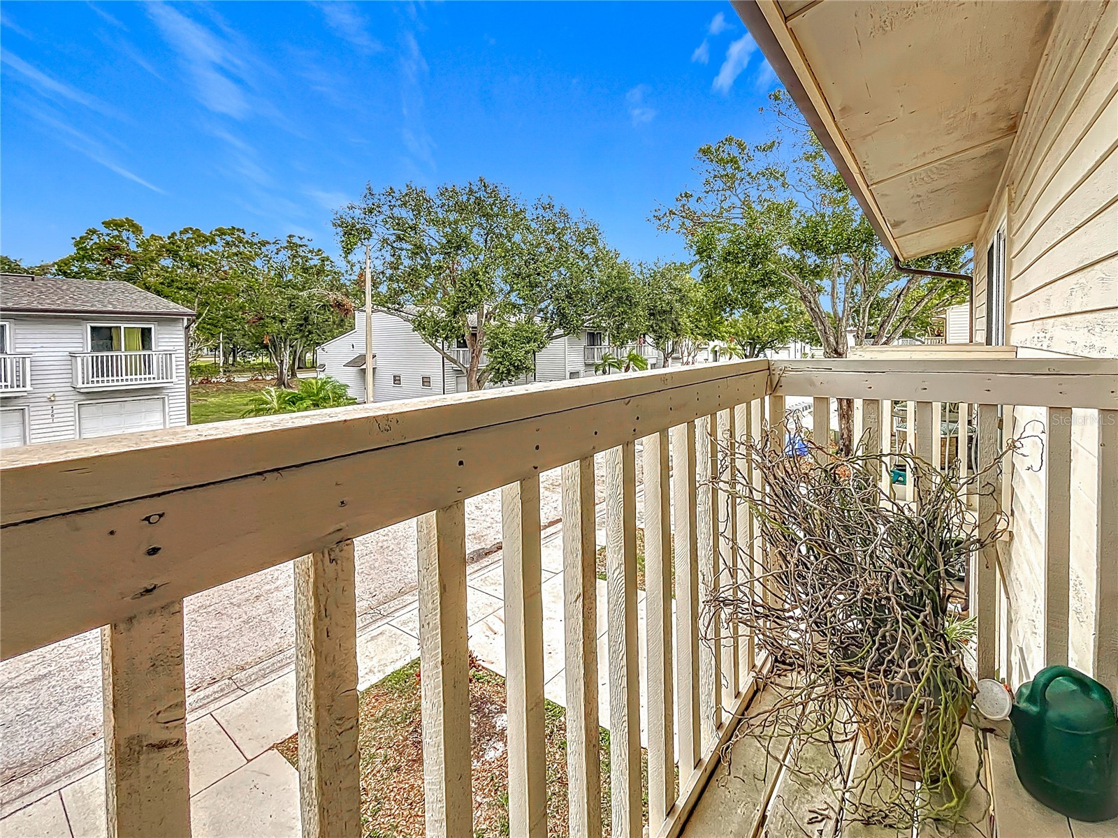 6262 93rd Terrace N #3904 Pinellas Park FL 33782 TB8452444 image20