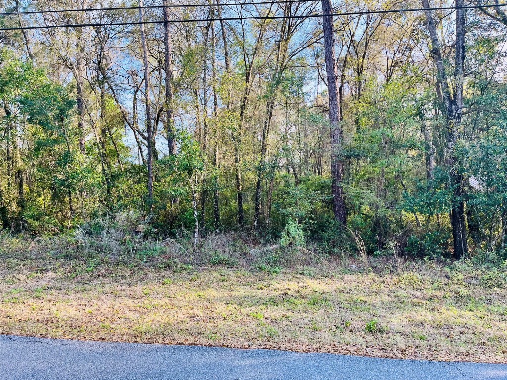 6262 E Holly Street Inverness FL 34452 W7862426 image1