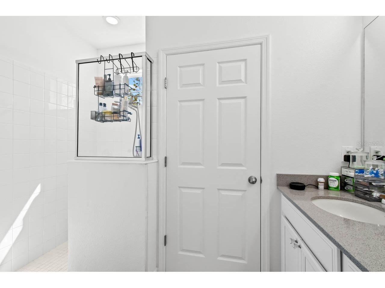 6262 Goldcoast Avenue Apollo Beach FL 33572 TB8484462 image14