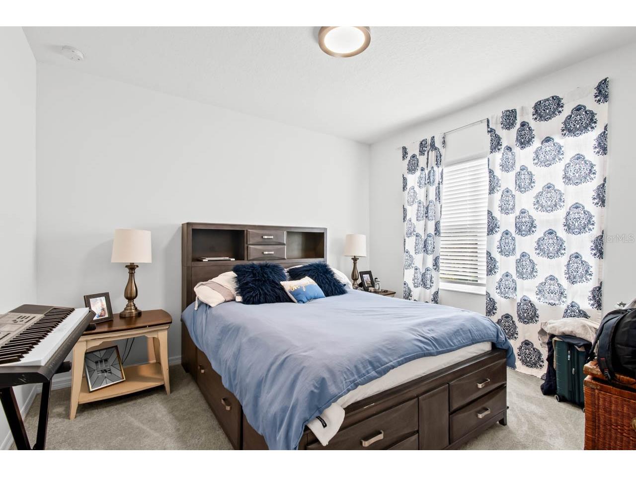 6262 Goldcoast Avenue Apollo Beach FL 33572 TB8484462 image19