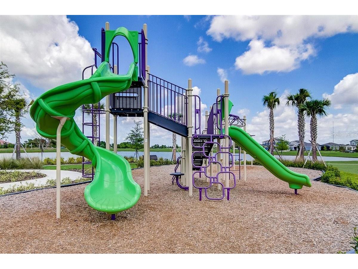6262 Goldcoast Avenue Apollo Beach FL 33572 TB8484462 image38