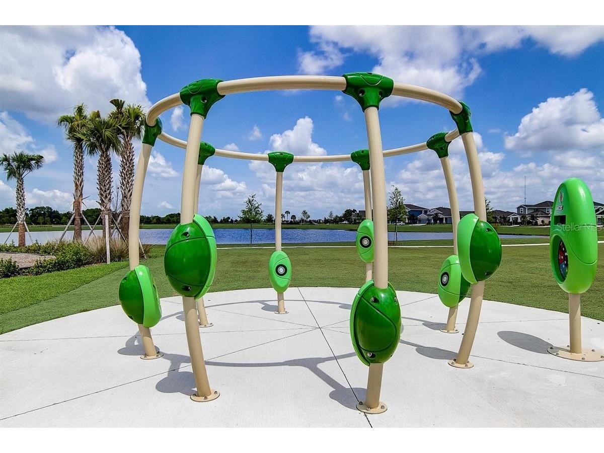 6262 Goldcoast Avenue Apollo Beach FL 33572 TB8484462 image39