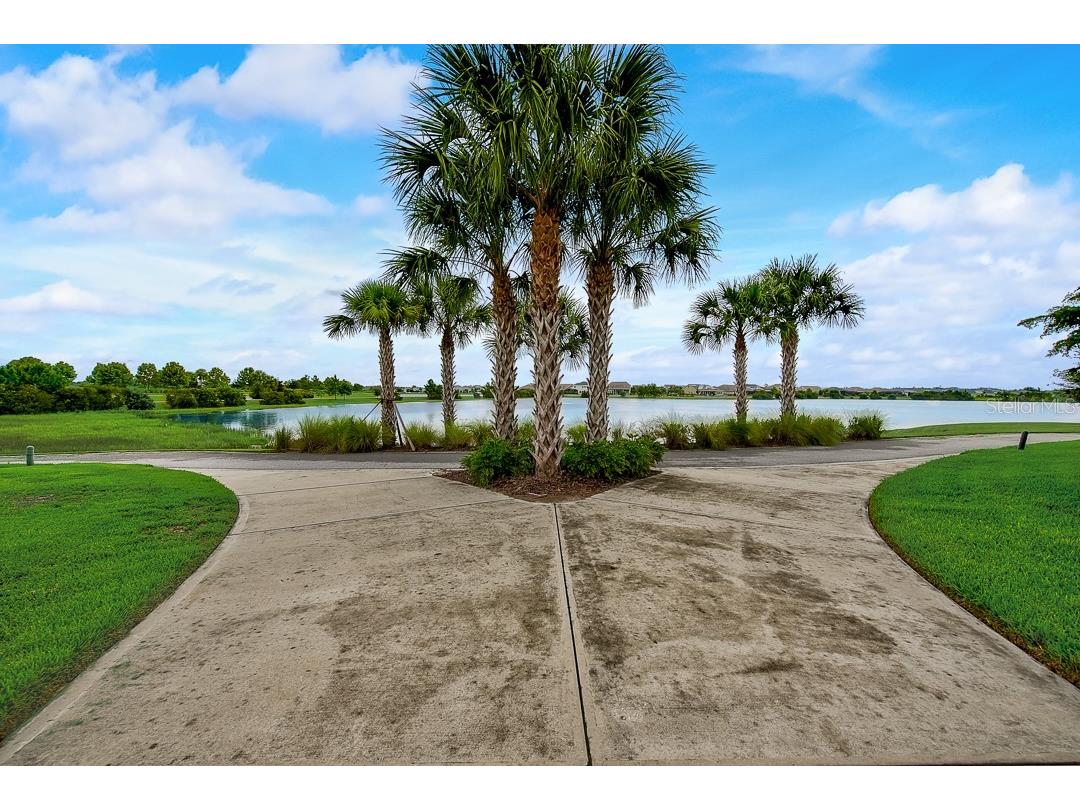 6262 Goldcoast Avenue Apollo Beach FL 33572 TB8484462 image49