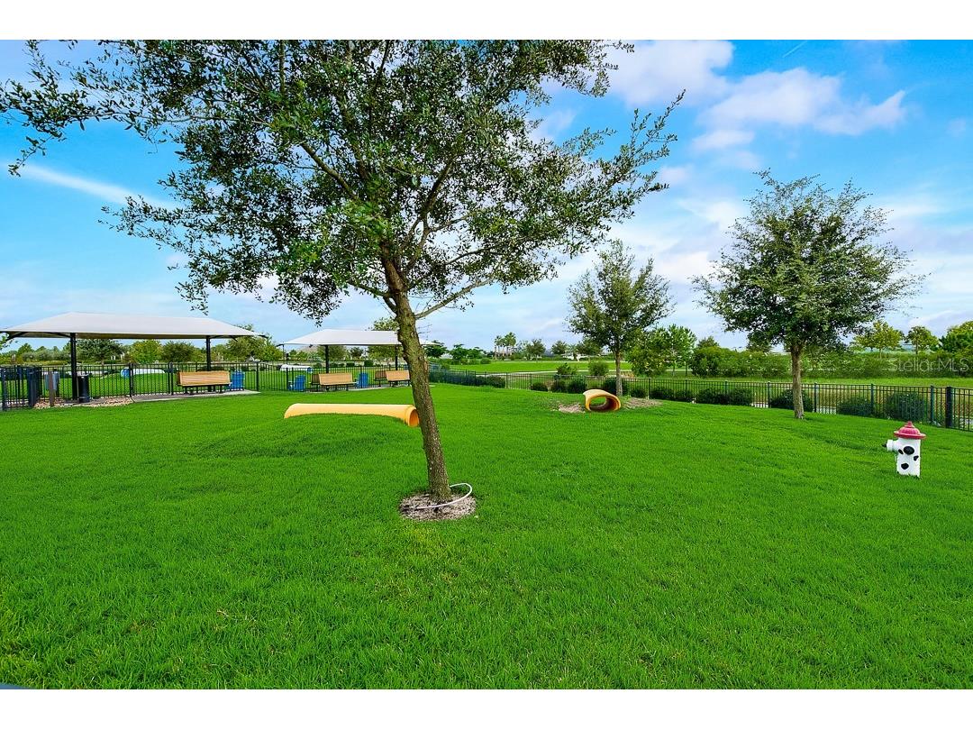 6262 Goldcoast Avenue Apollo Beach FL 33572 TB8484462 image53